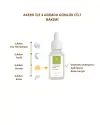AKERD COSMETİCS Serum Aydınlatıcı Gözenek Sıklaştırıcı Aydınlatıcı Akne Karşıtı Serum